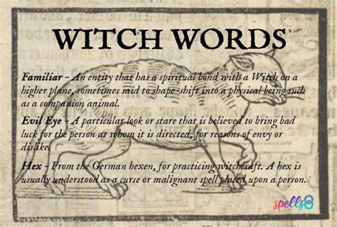 Historical Context: Understanding the Cultural Context of a Witch's Broom Name